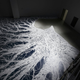 Illustration for article titled Artist Creates (And Destroys) Drawings From Thousands of Pounds of Salt